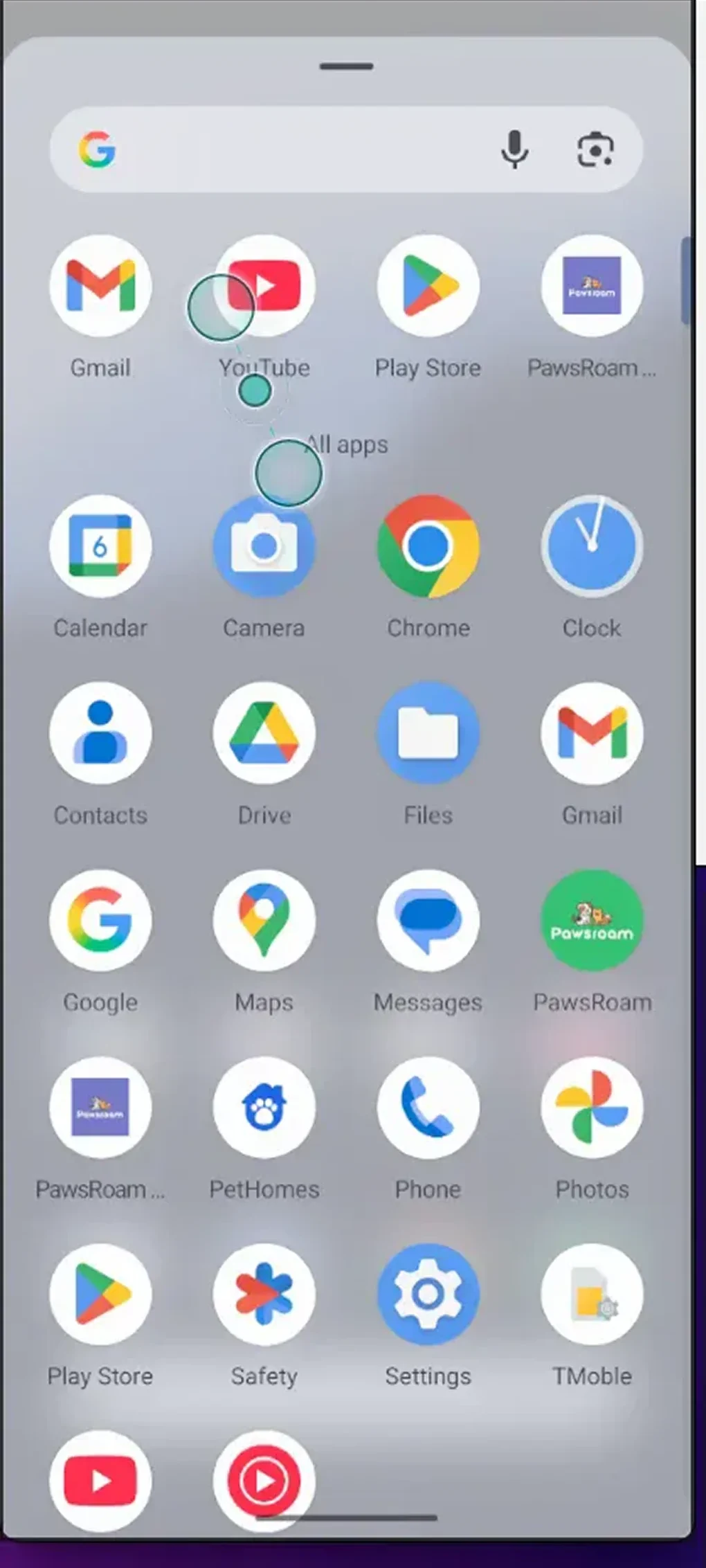 PawsRoam app screen — pet profile